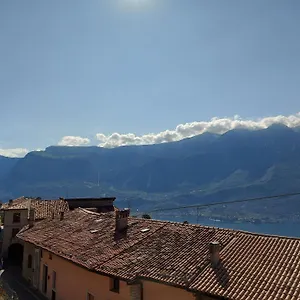 Ulivi Sul Garda Garden By Gardadomusmea Tremosine